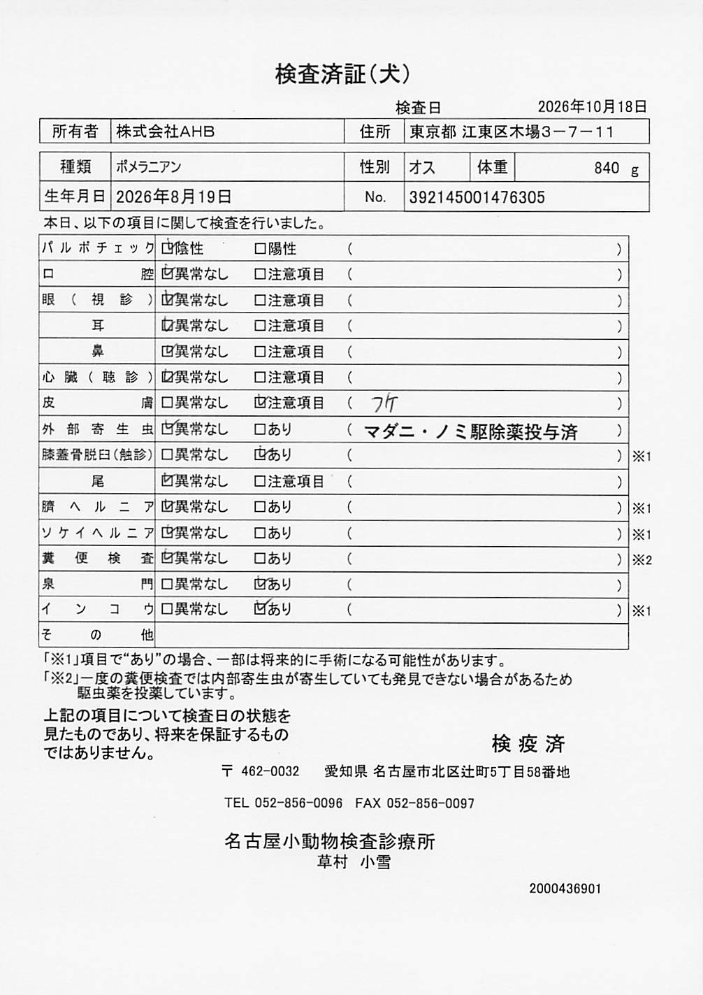ポメラニアン