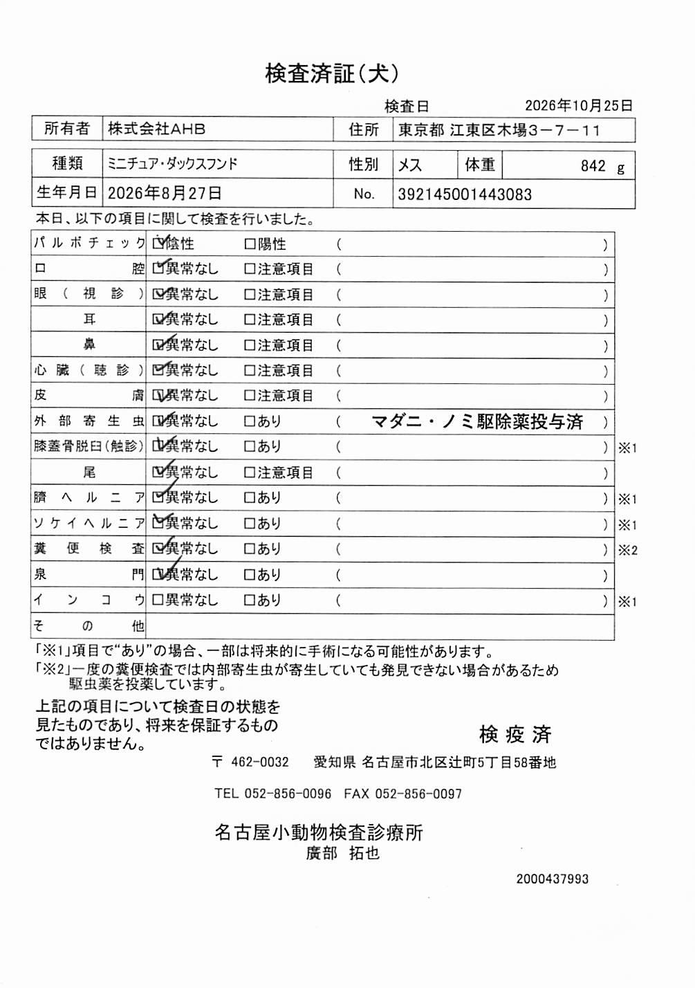 ミニチュア・ダックスフンド