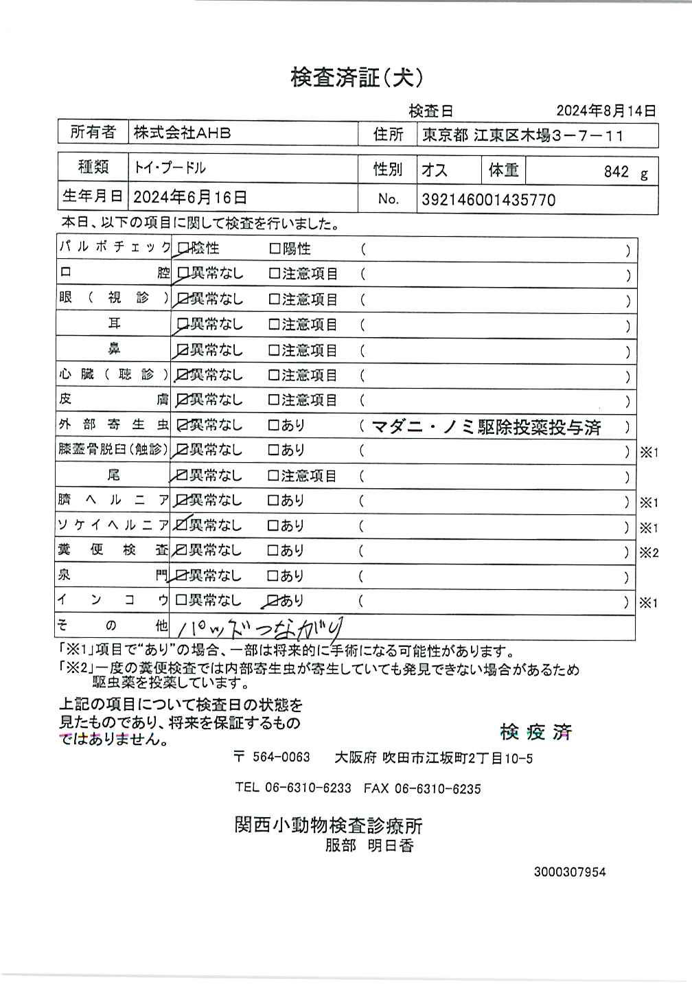 トイ・プードル