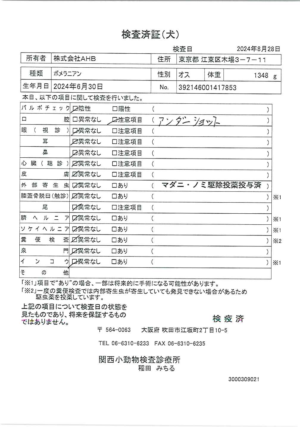 ポメラニアン