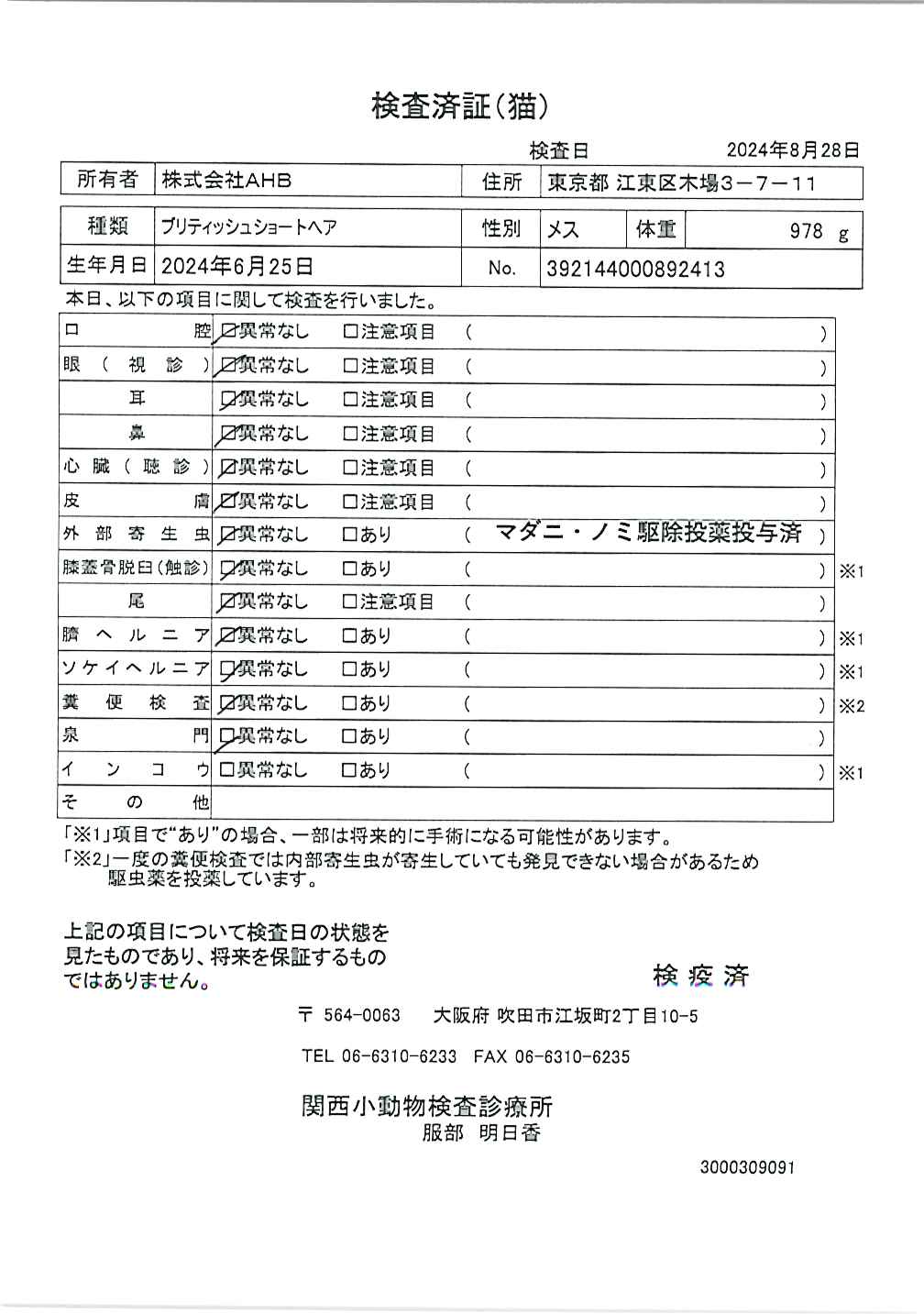 ブリティッシュショートヘア