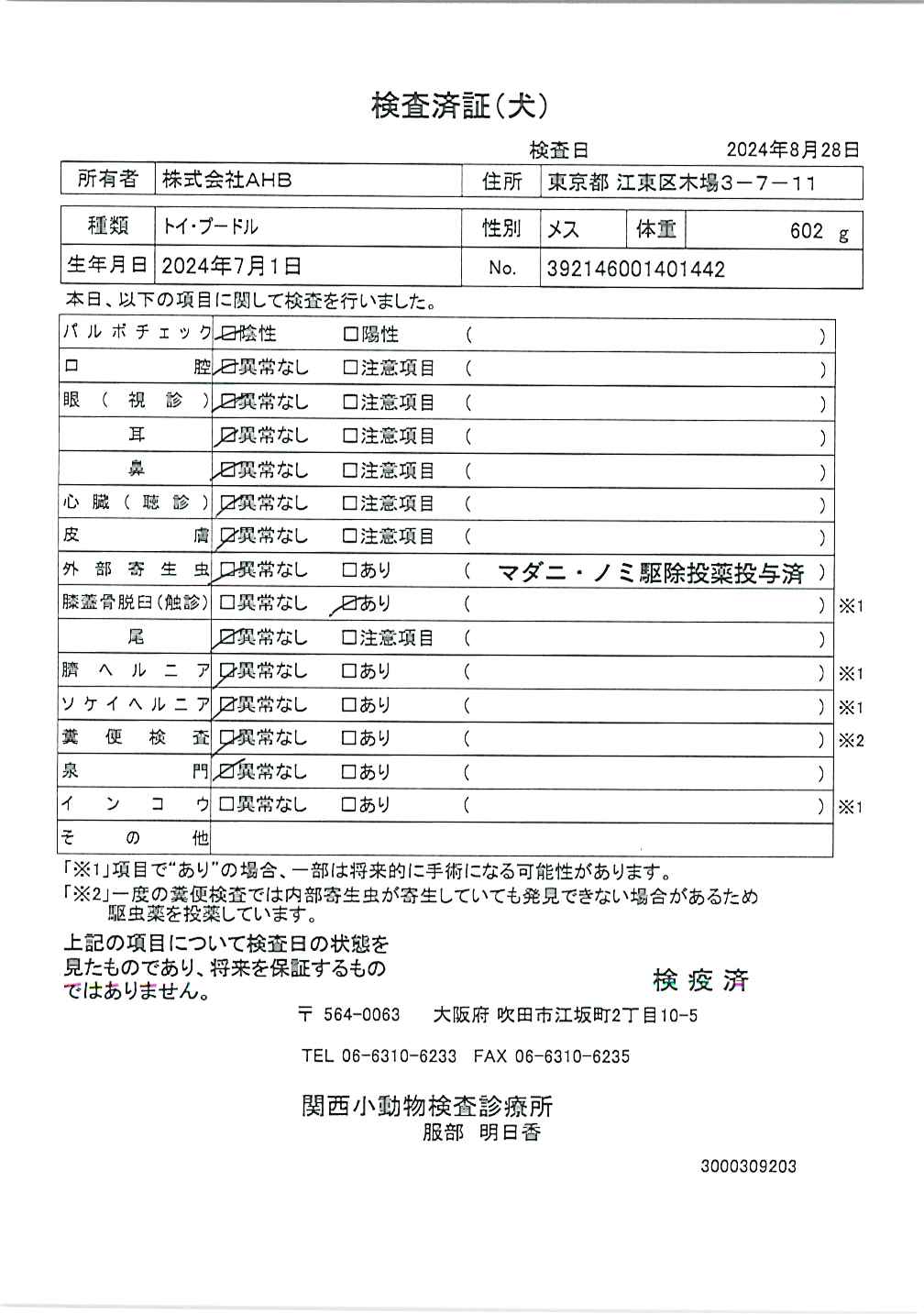 トイ・プードル