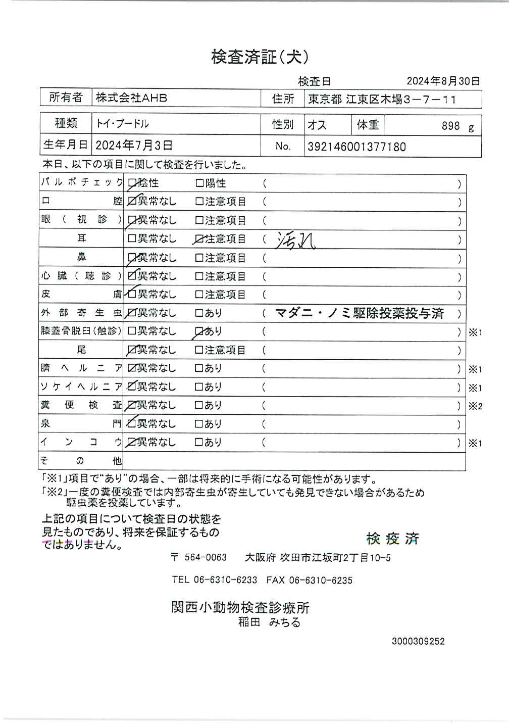 トイ・プードル