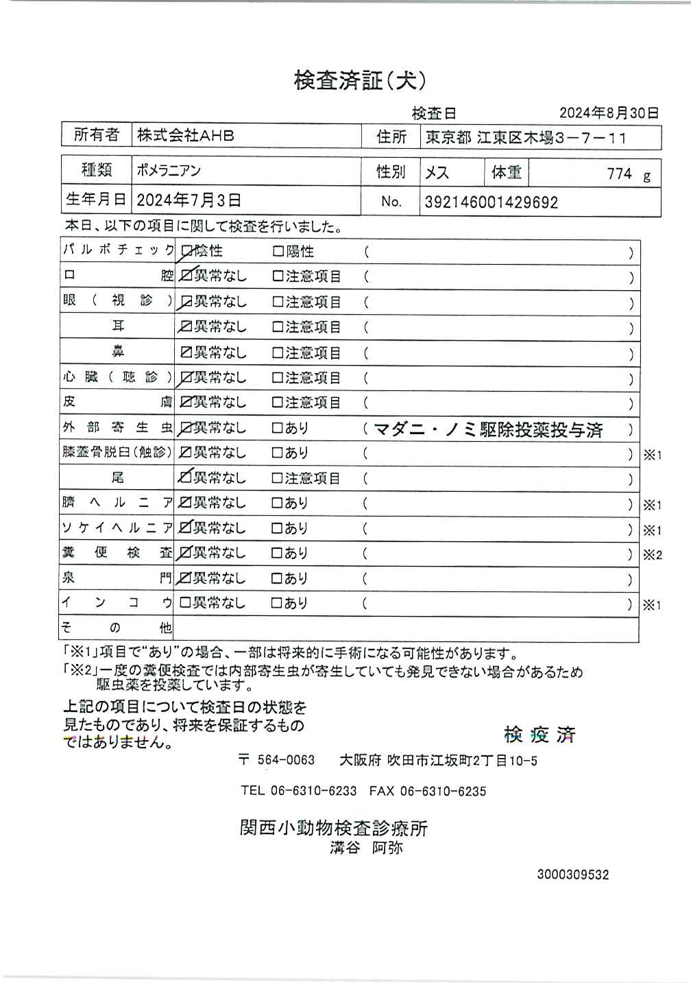 ポメラニアン