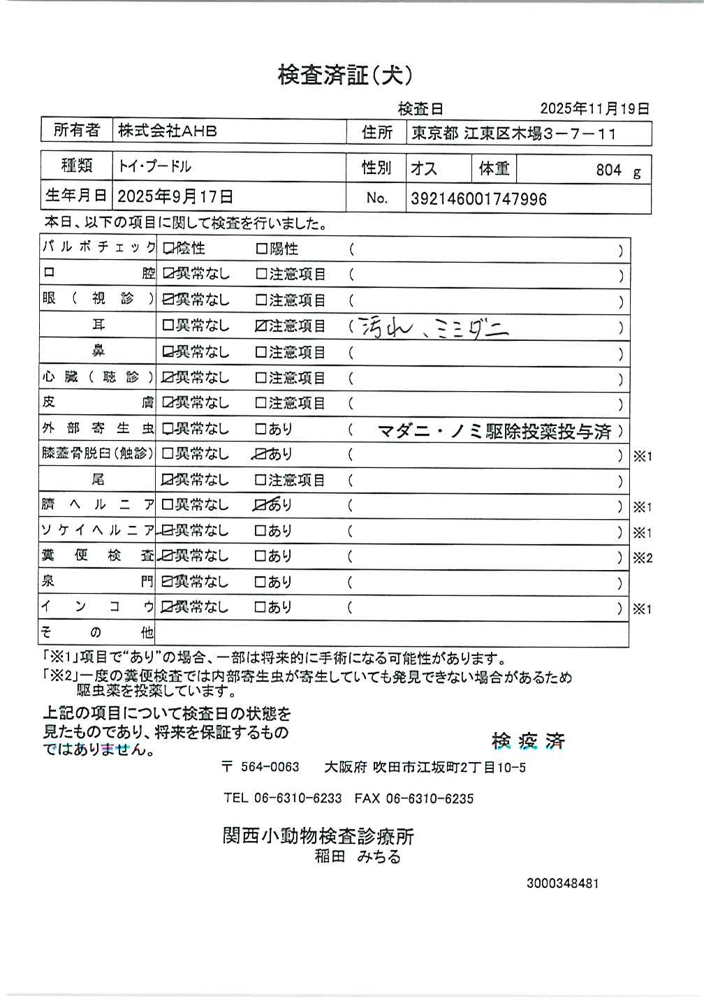 トイ・プードル