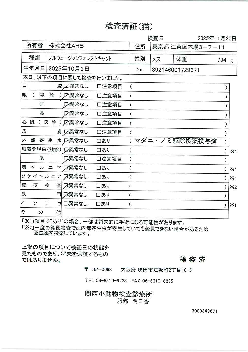 ノルウェージャンフォレストキャット