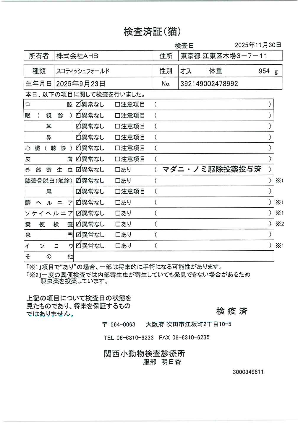 スコティッシュフォールド