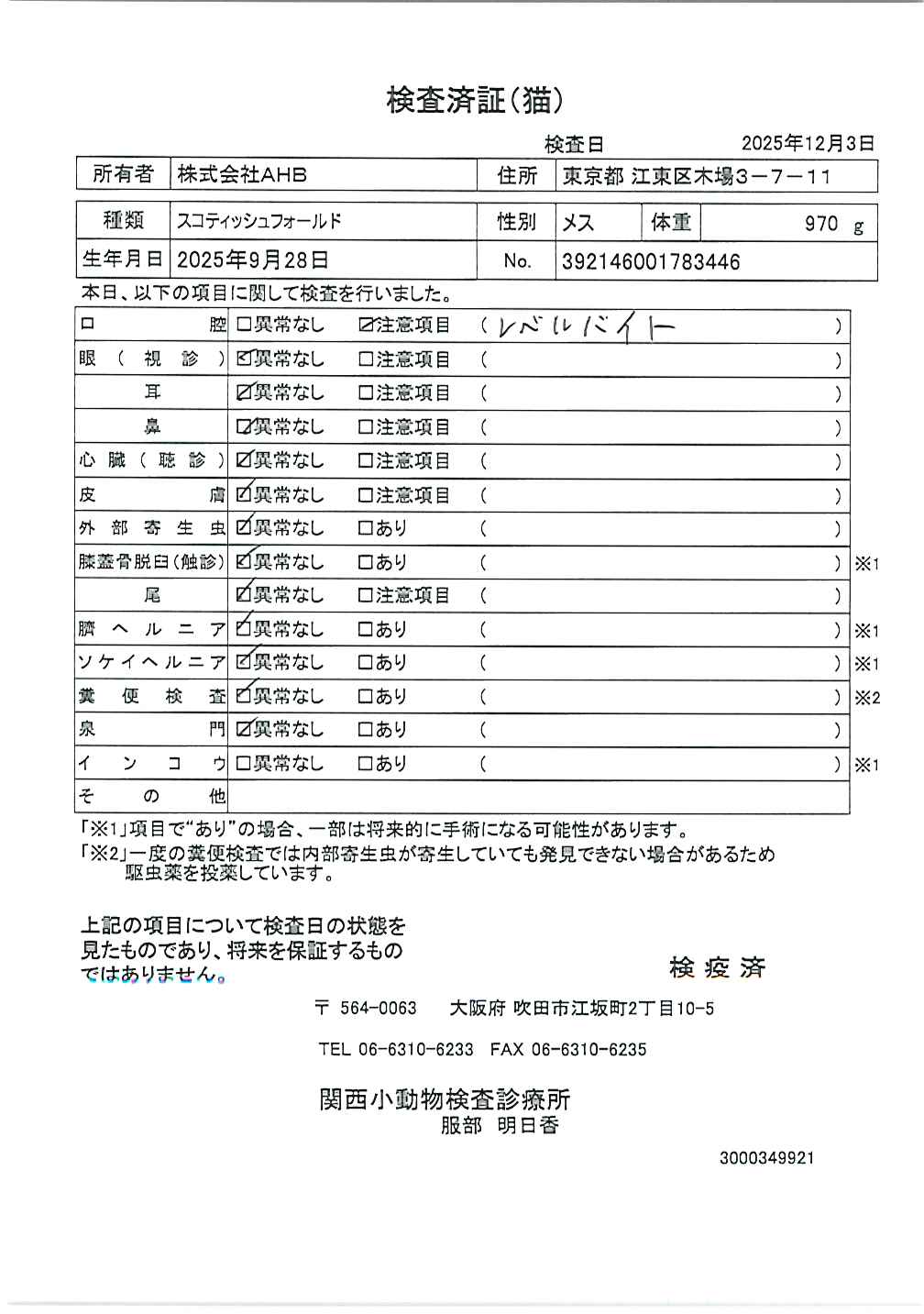 スコティッシュフォールド