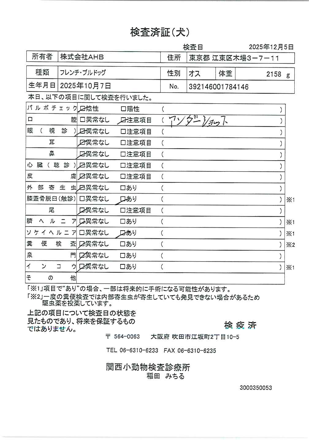 フレンチ・ブルドッグ