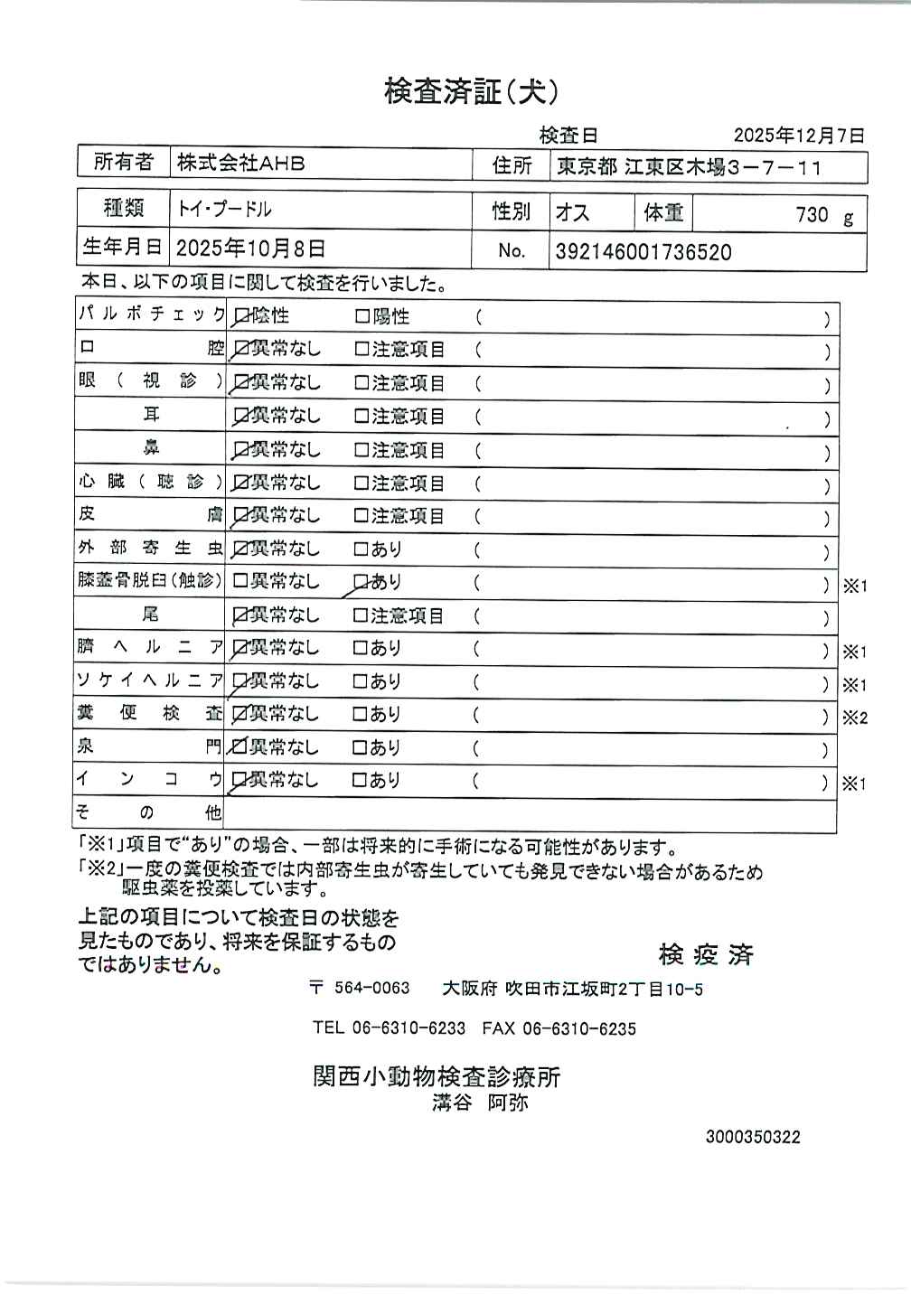 トイ・プードル