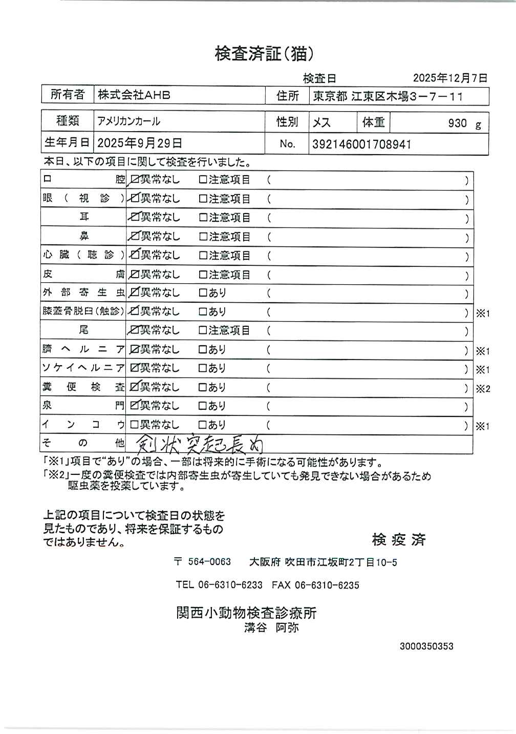 アメリカンカール