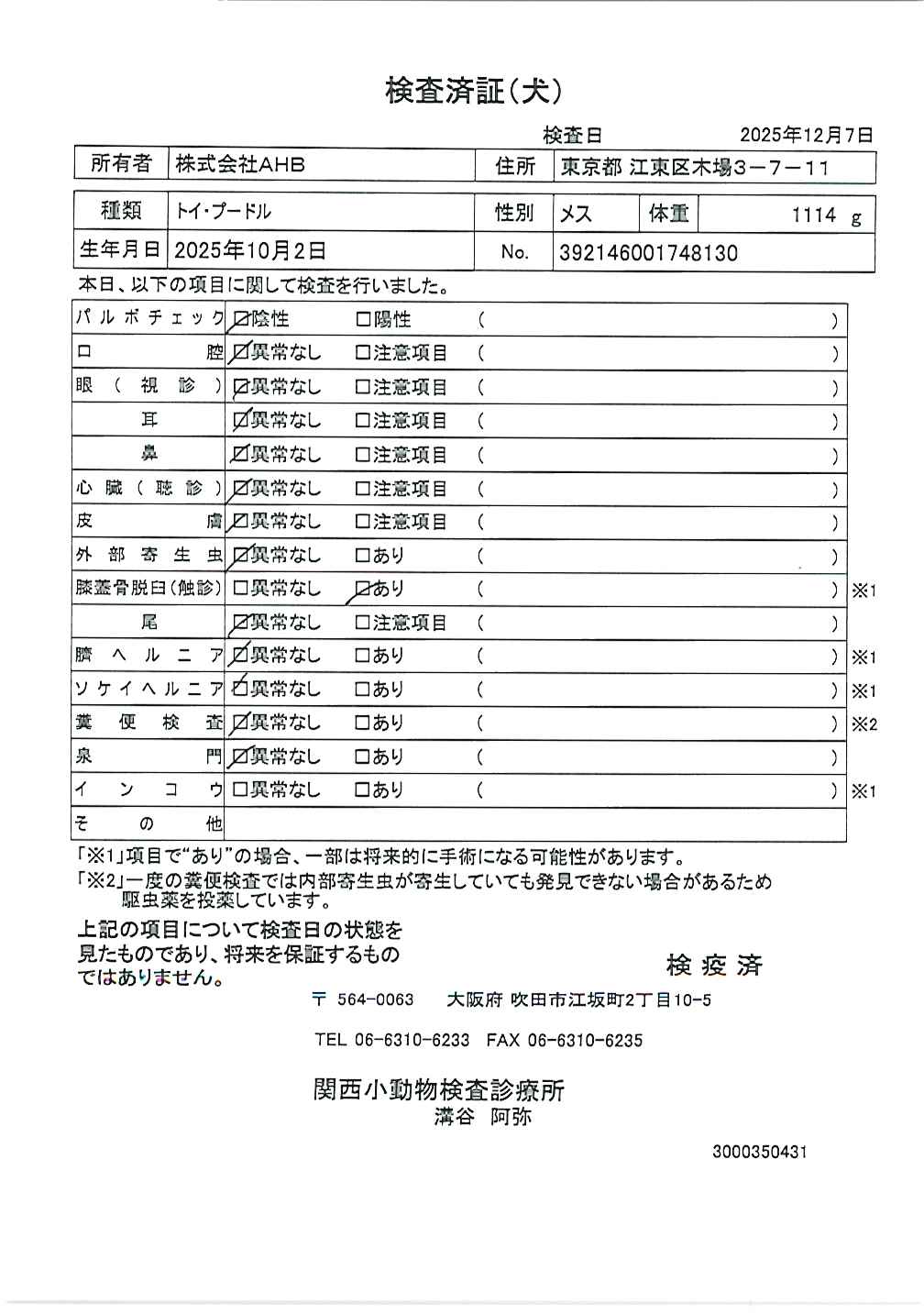 トイ・プードル