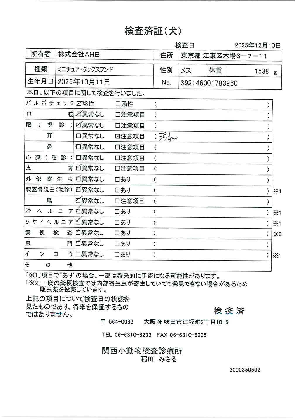 ミニチュア・ダックスフンド