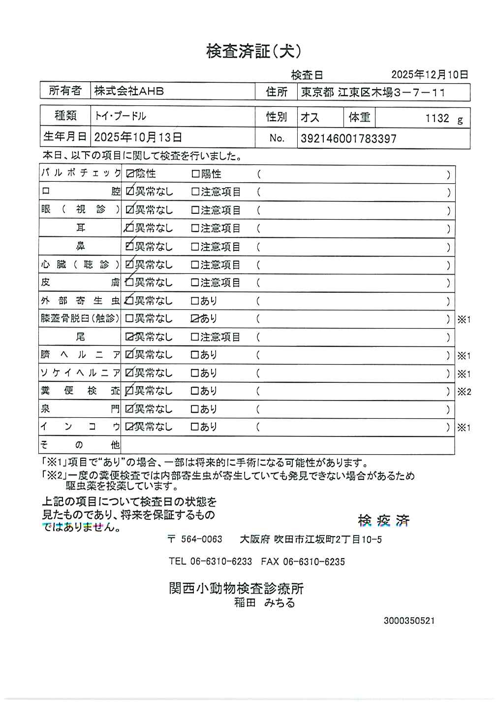 トイ・プードル