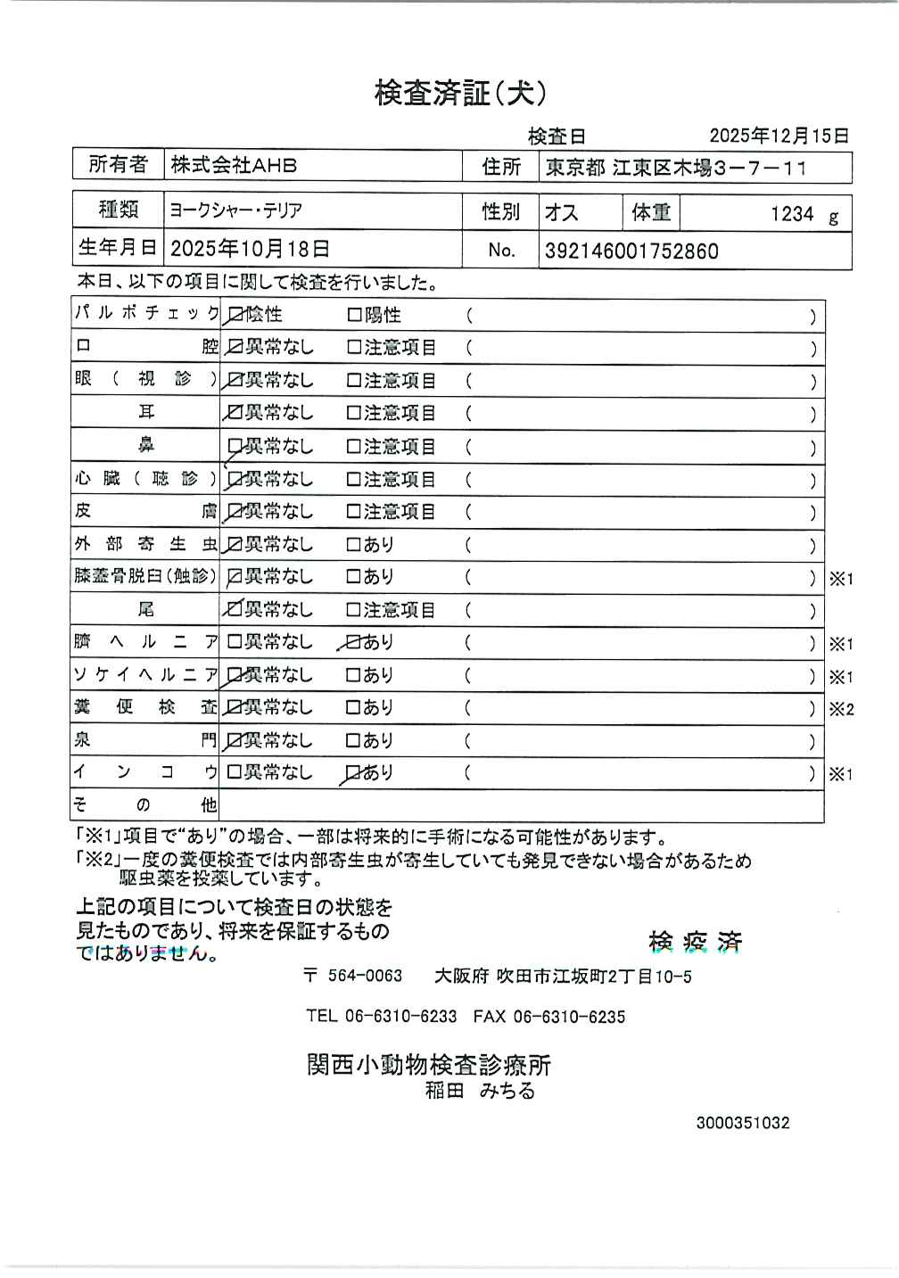 ヨークシャー・テリア