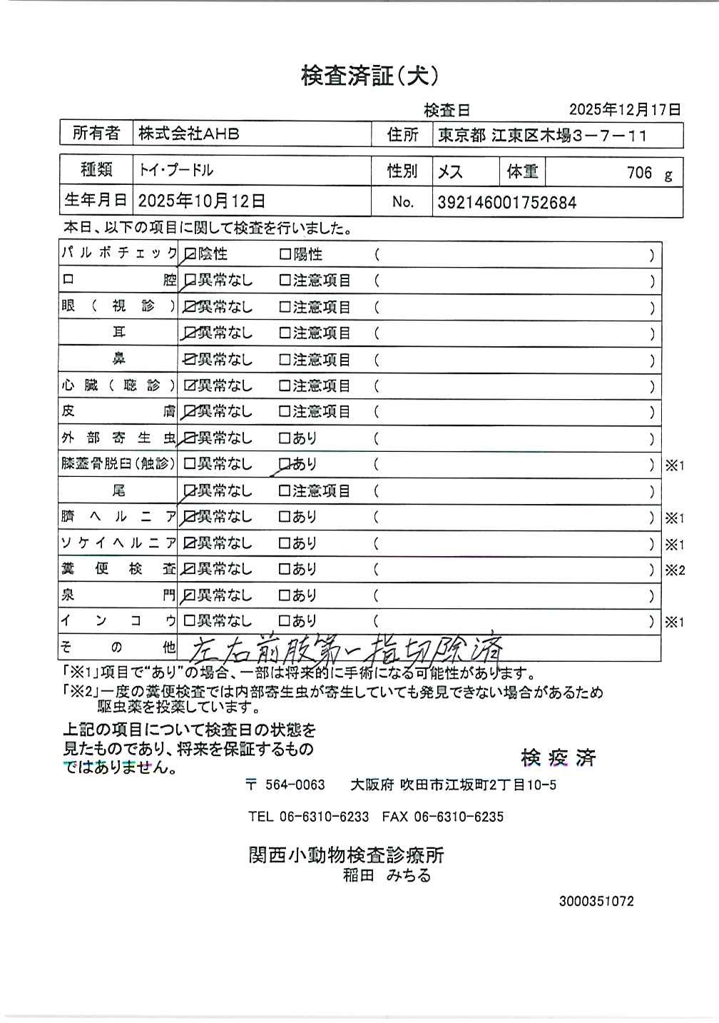 トイ・プードル