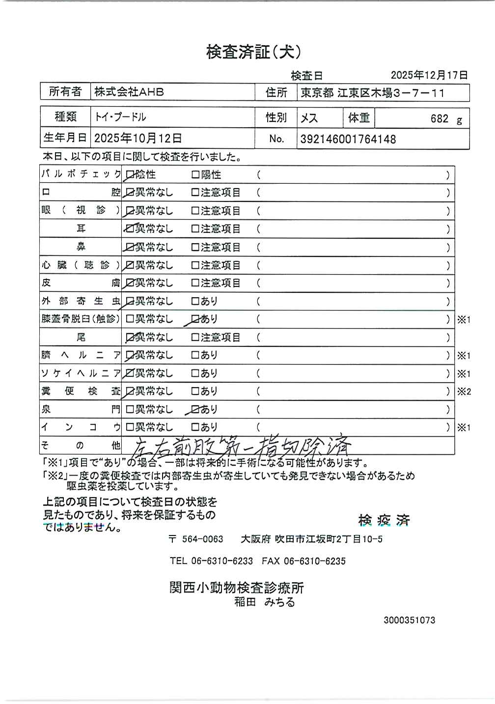 トイ・プードル
