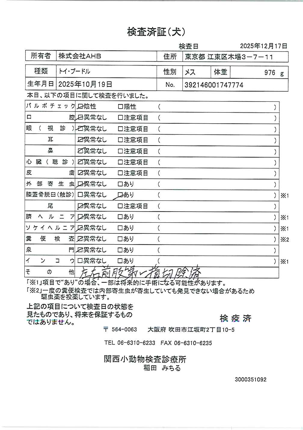 トイ・プードル