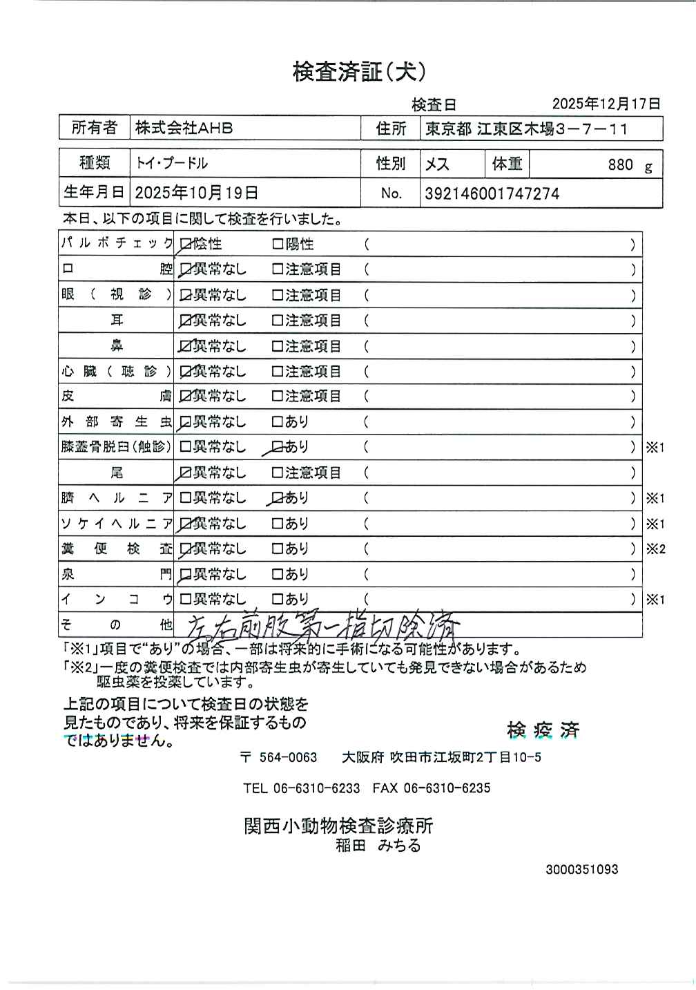 トイ・プードル