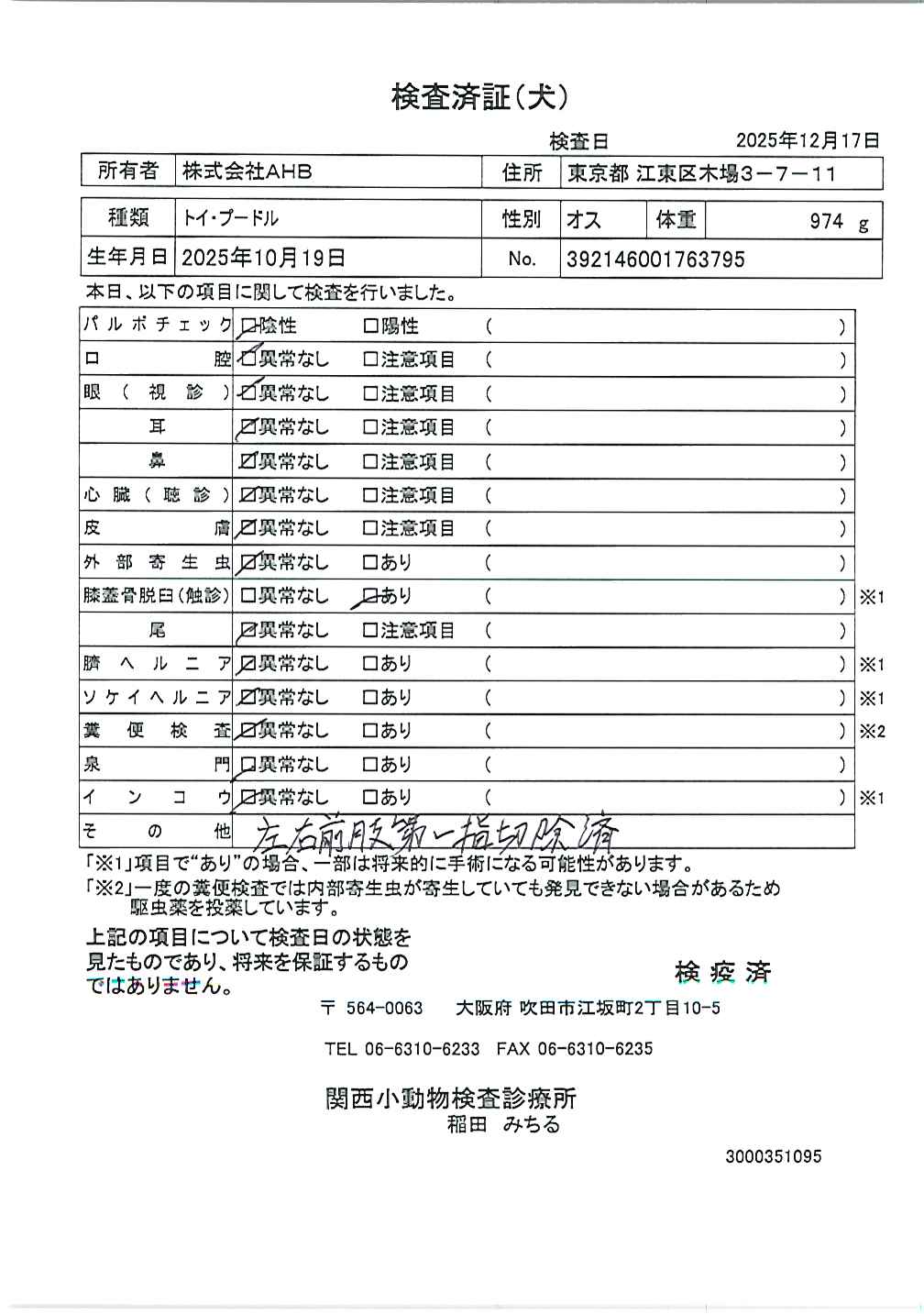トイ・プードル