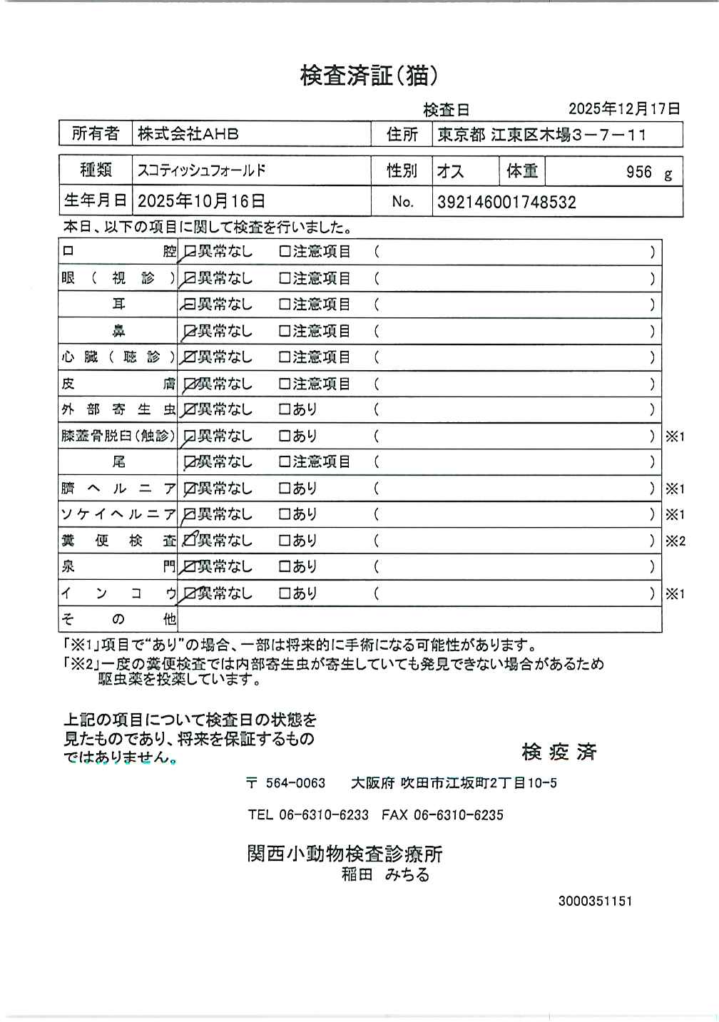 スコティッシュフォールド