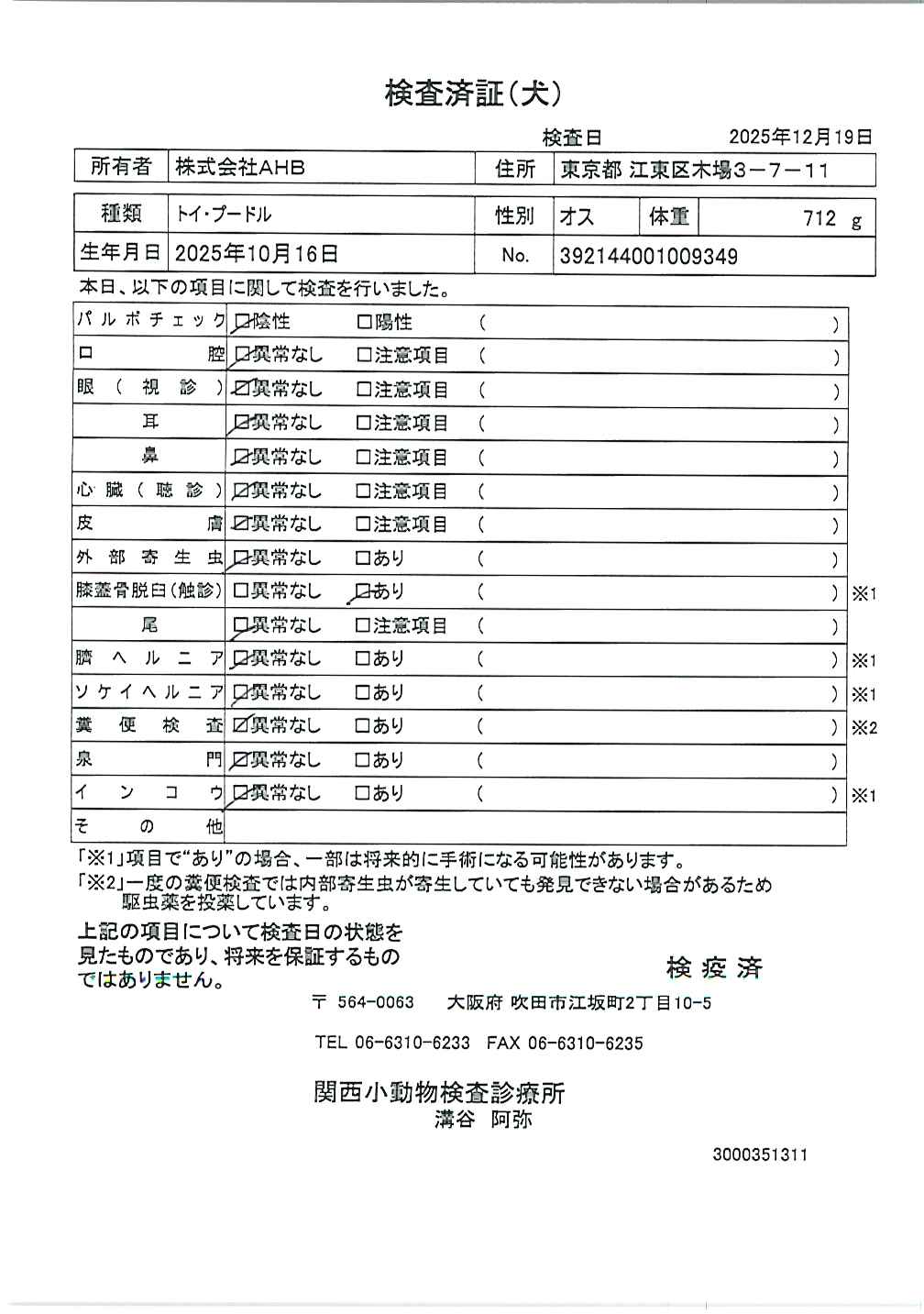 トイ・プードル