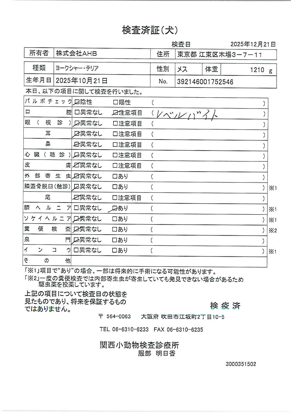 ヨークシャー・テリア
