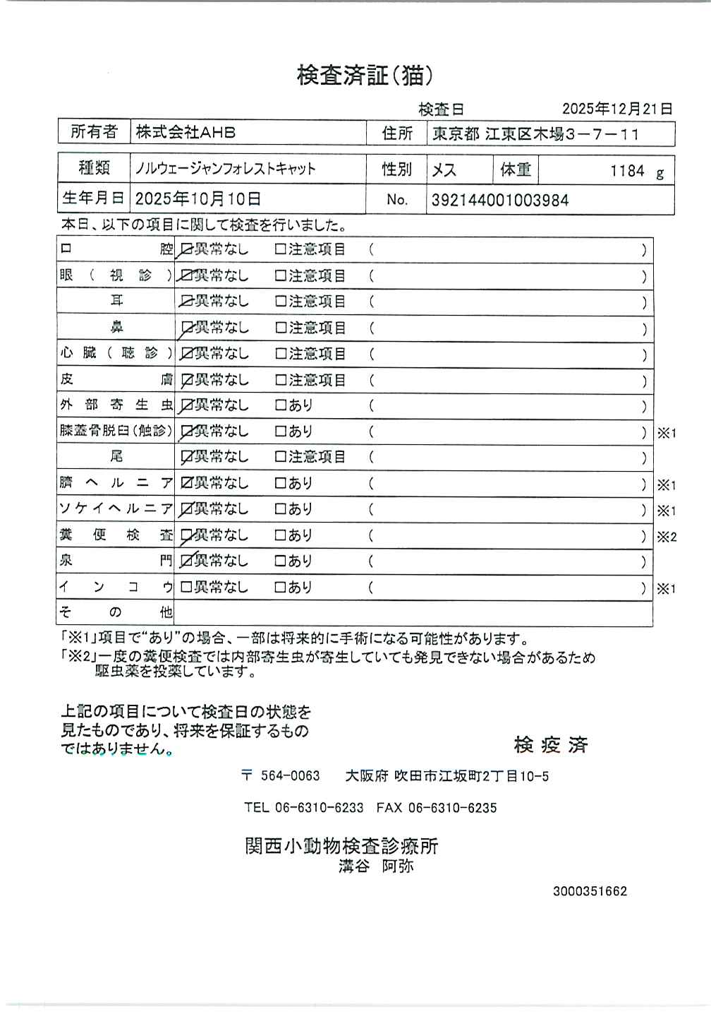 ノルウェージャンフォレストキャット