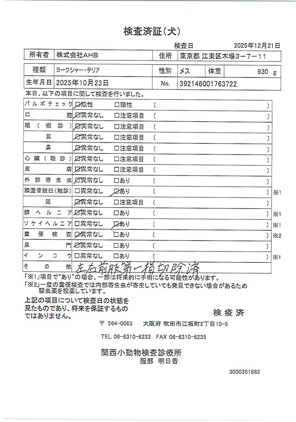 ヨークシャー・テリア