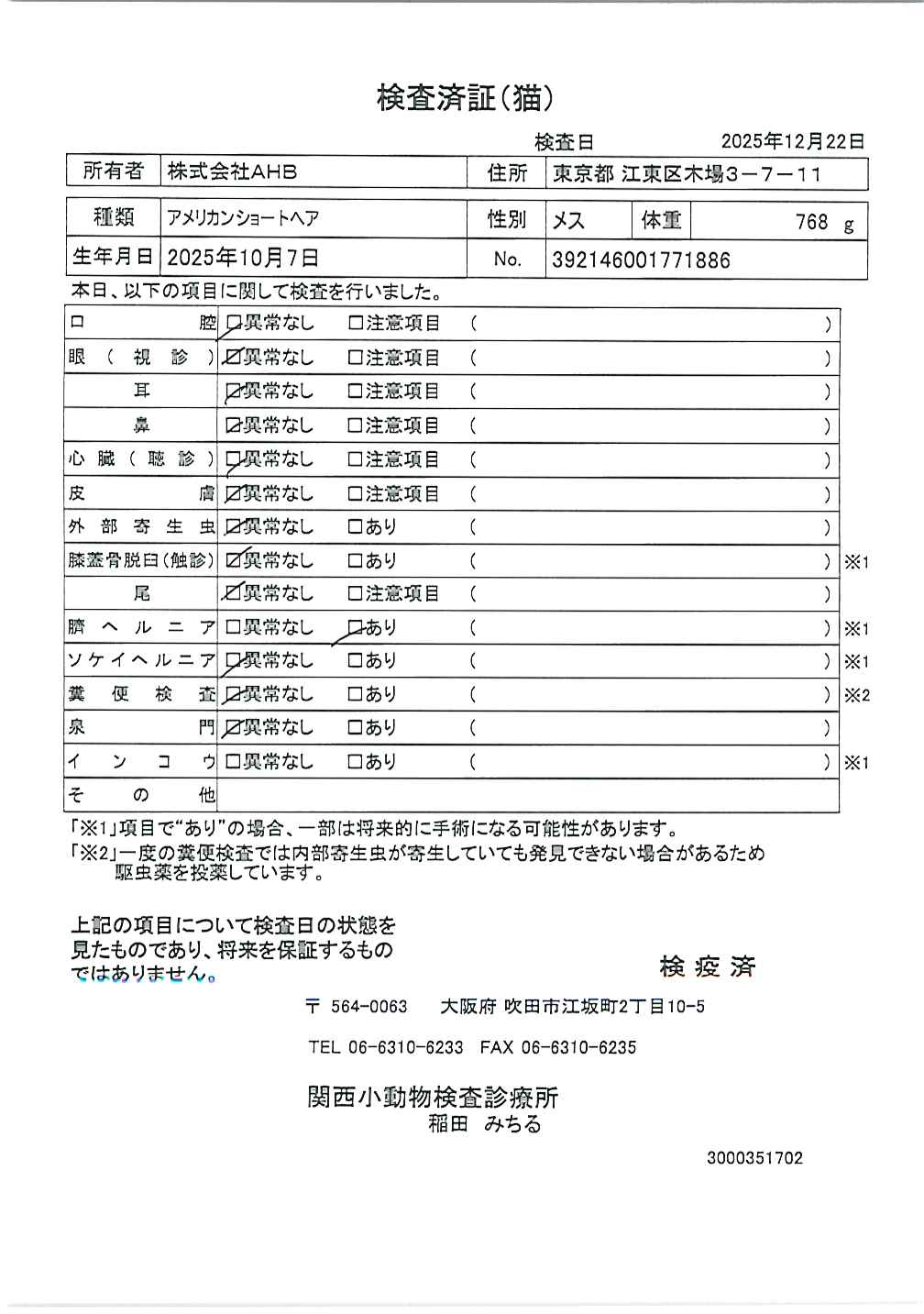 アメリカンショートヘア