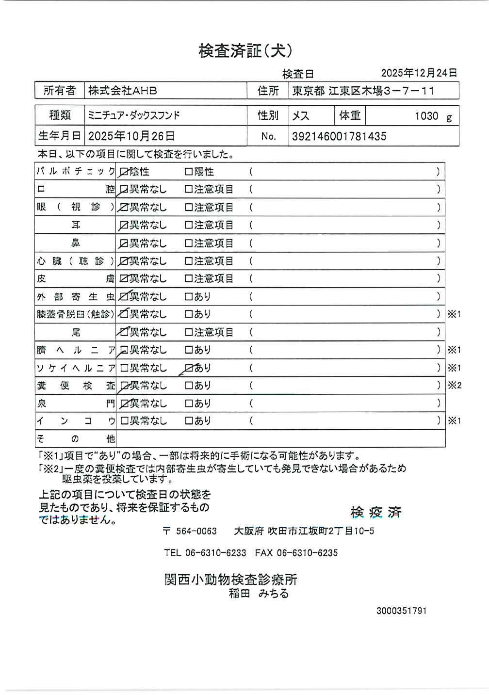 ミニチュア・ダックスフンド