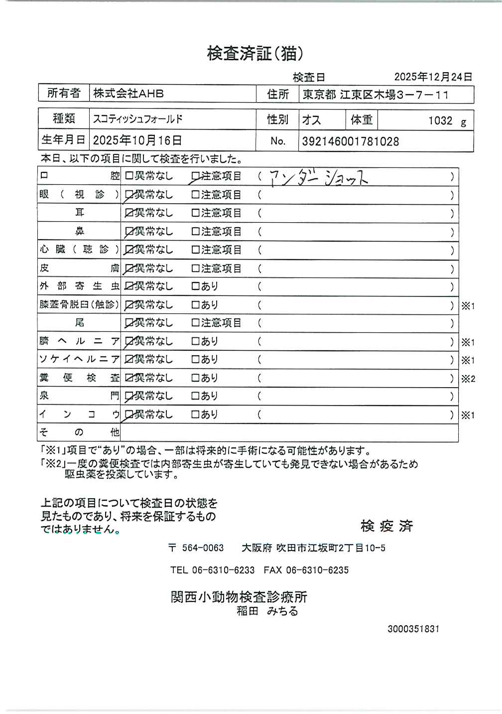 スコティッシュフォールド