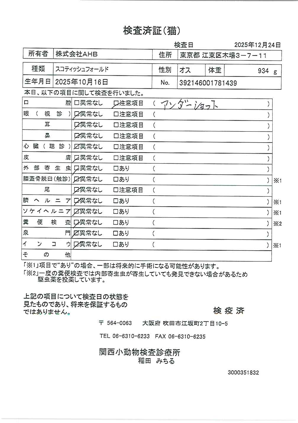 スコティッシュフォールド