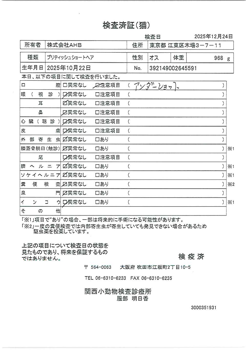 ブリティッシュショートヘア