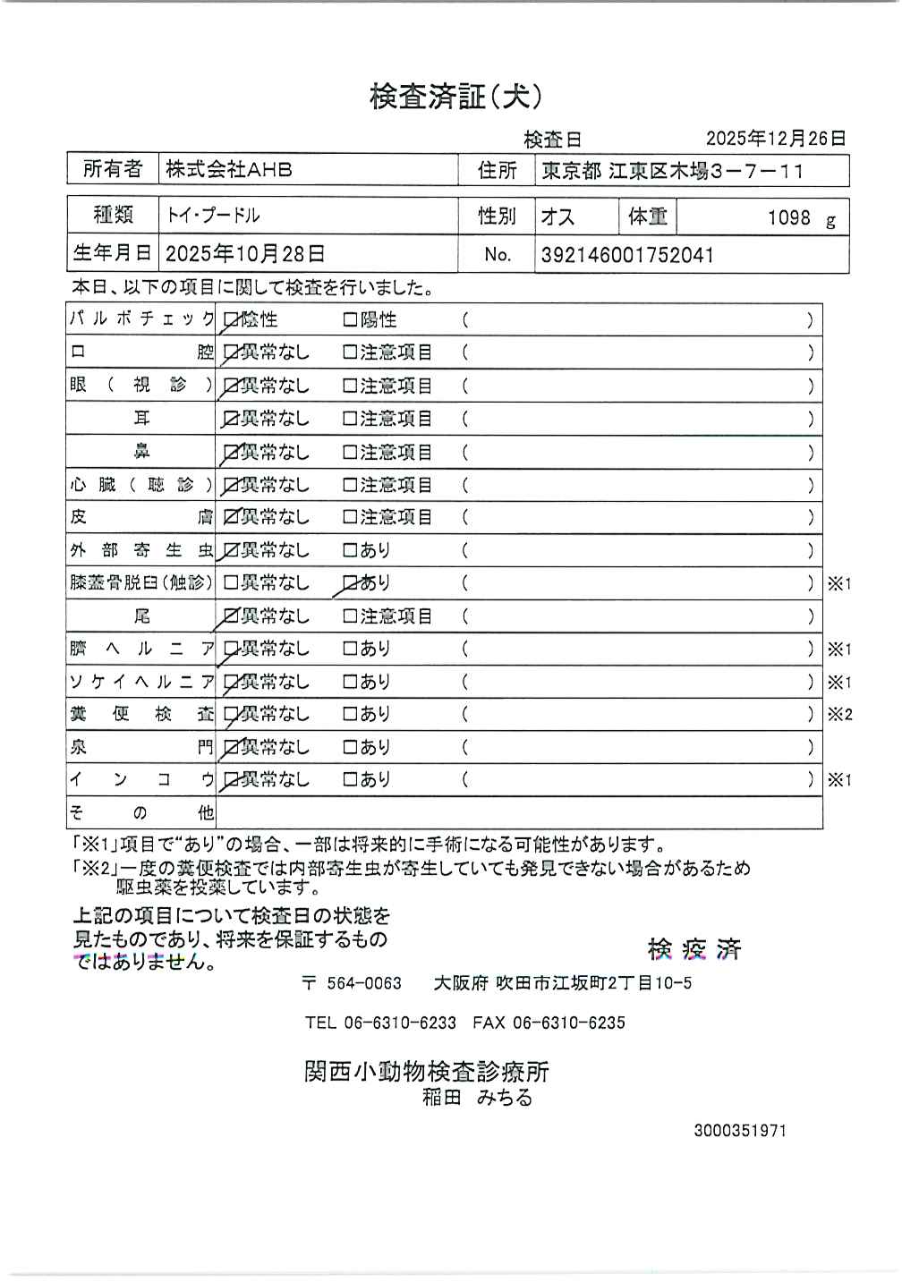 トイ・プードル