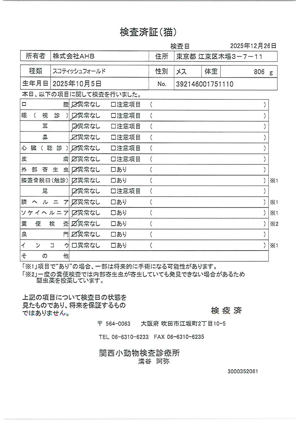 スコティッシュフォールド