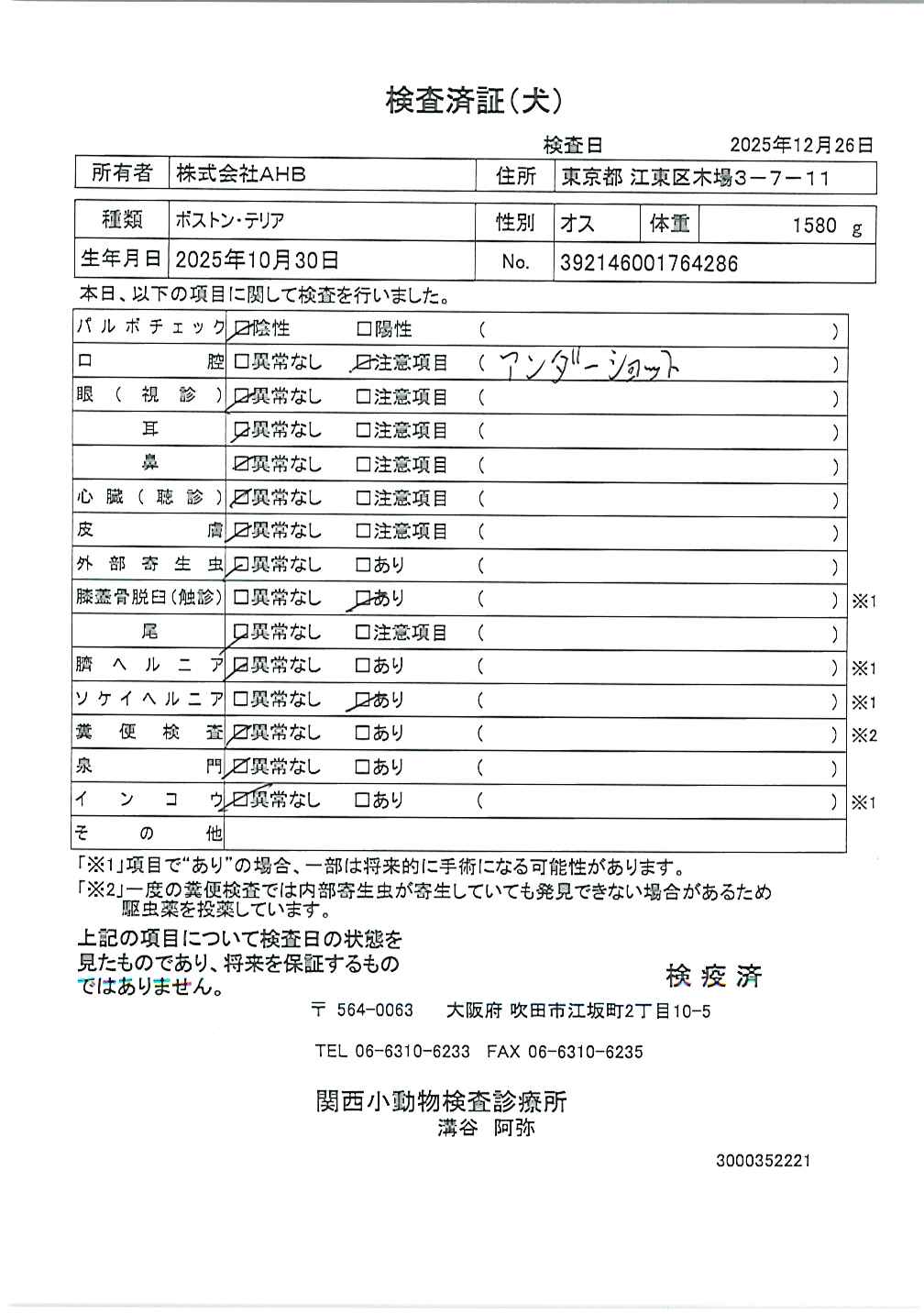 ボストン・テリア