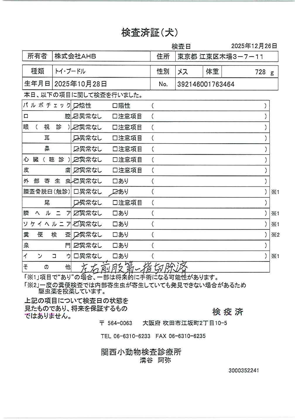 トイ・プードル