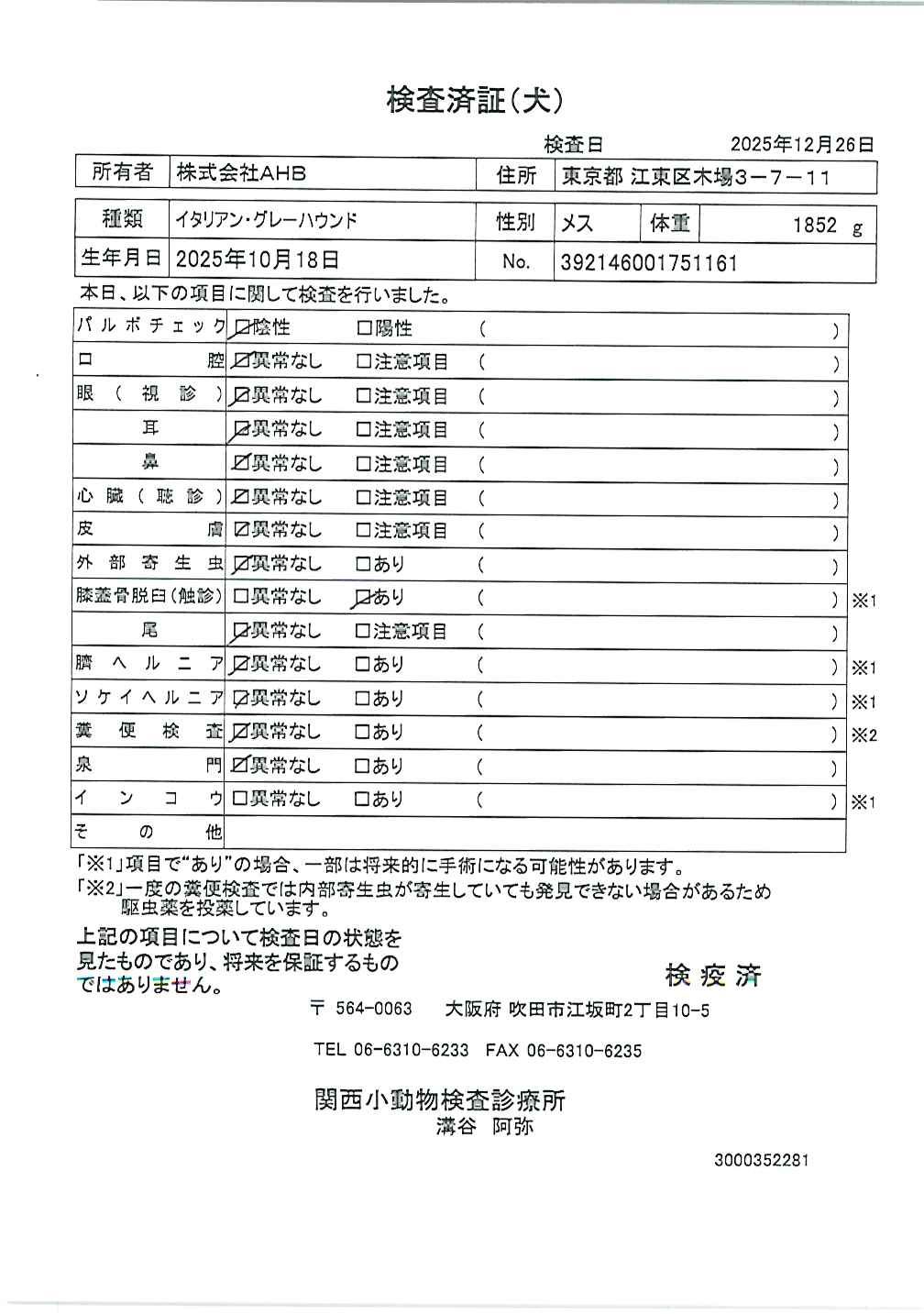 イタリアン・グレーハウンド