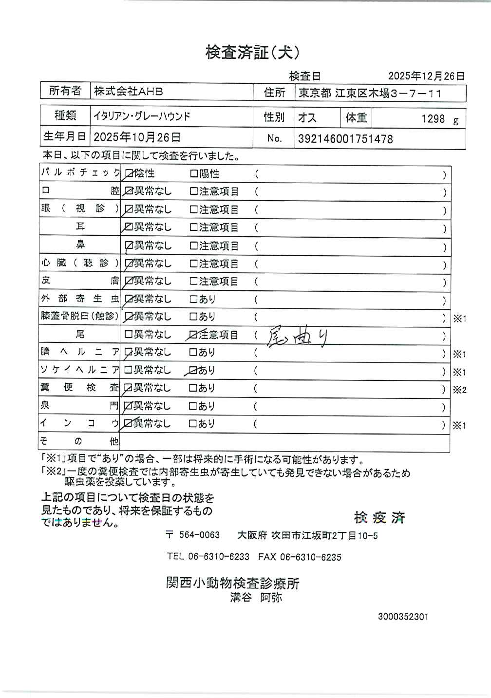 イタリアン・グレーハウンド
