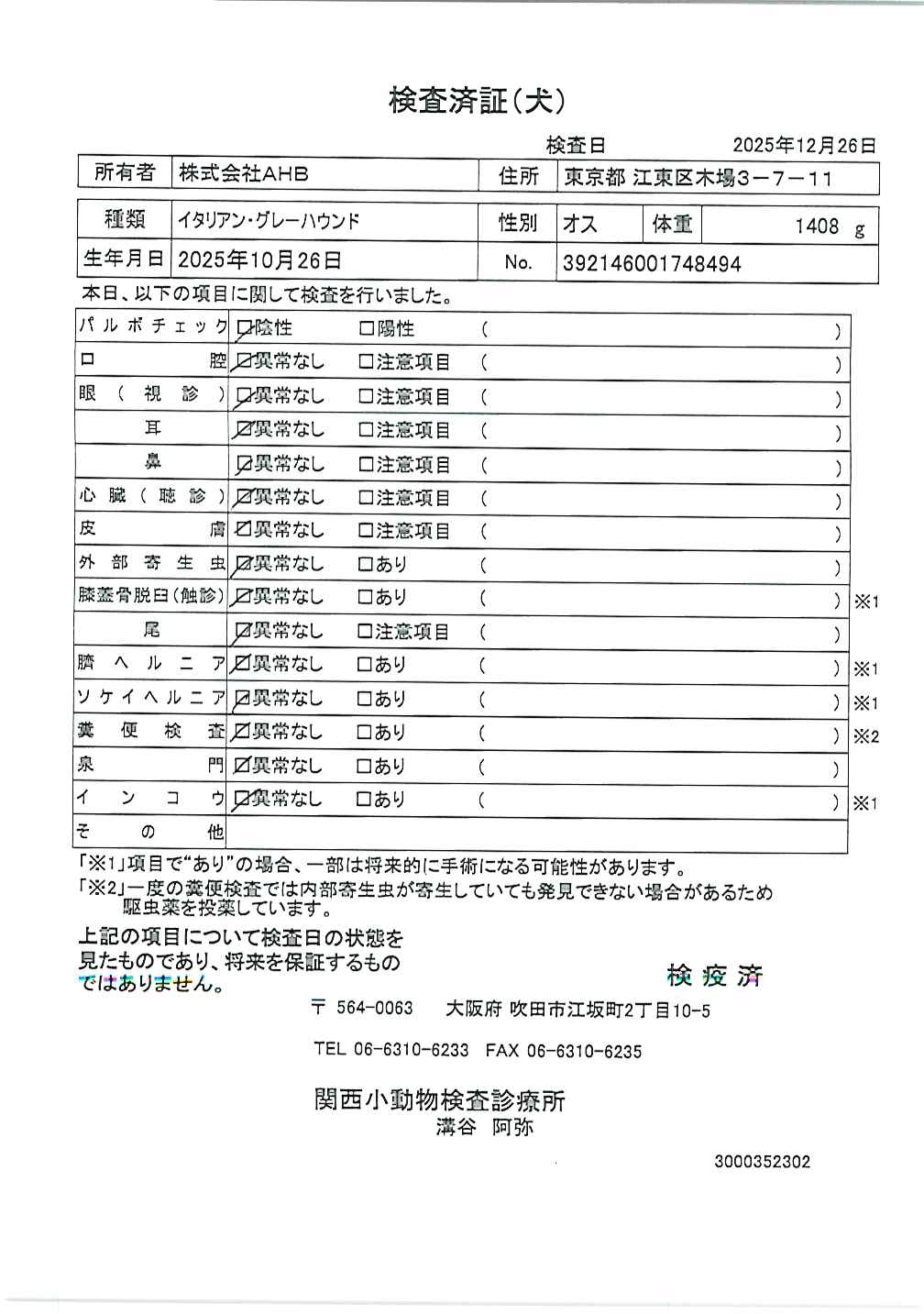 イタリアン・グレーハウンド
