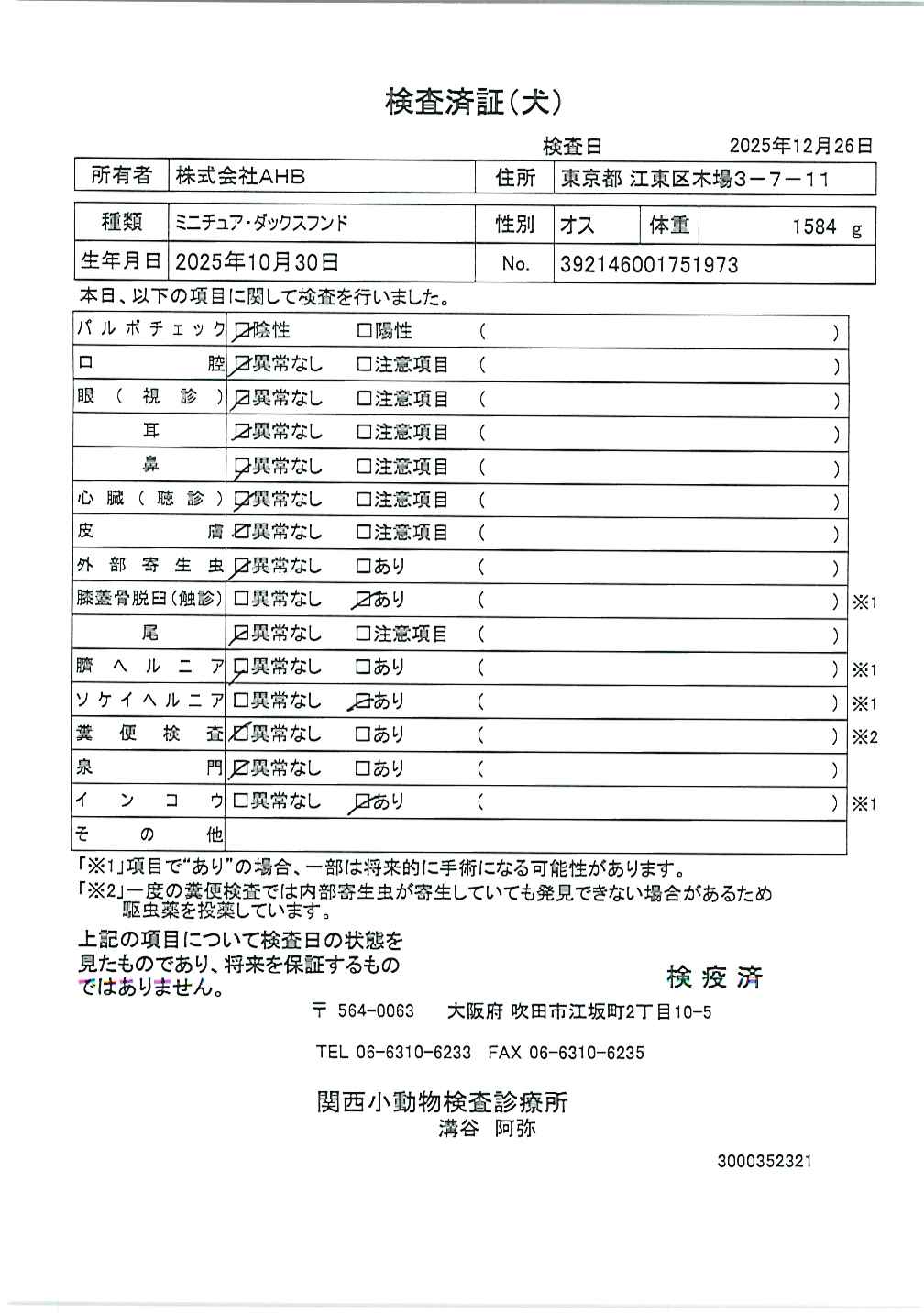 ミニチュア・ダックスフンド