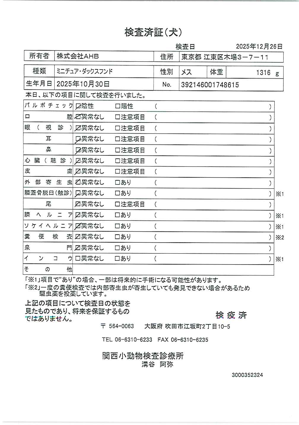 ミニチュア・ダックスフンド