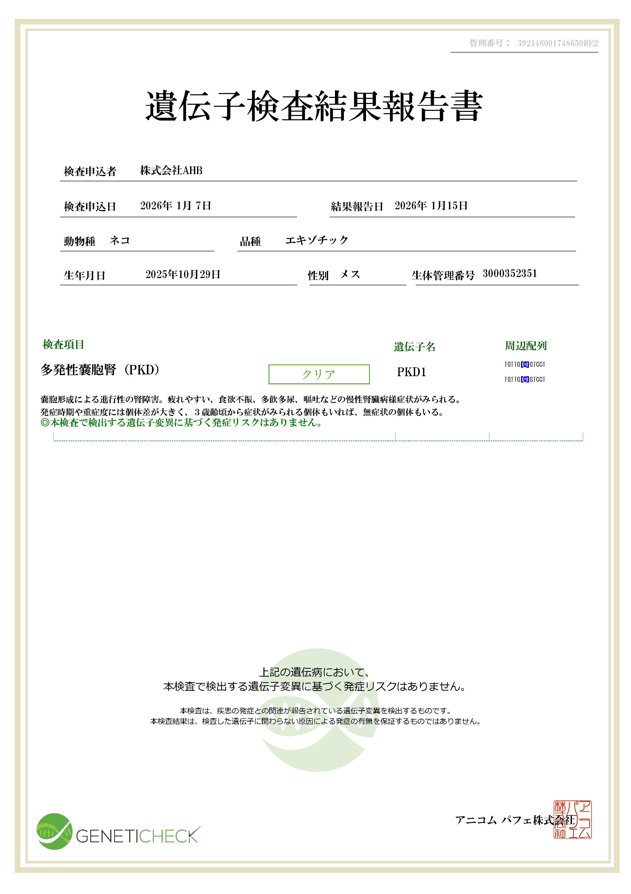 エキゾチック・ショートヘア