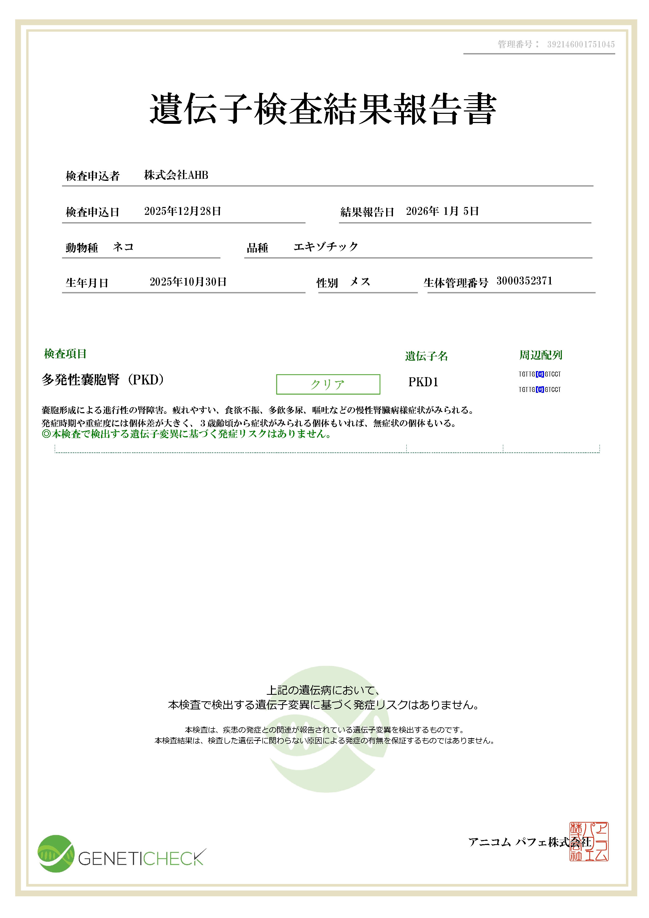 エキゾチック・ショートヘア