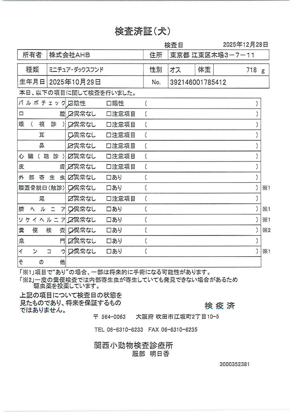 ミニチュア・ダックスフンド