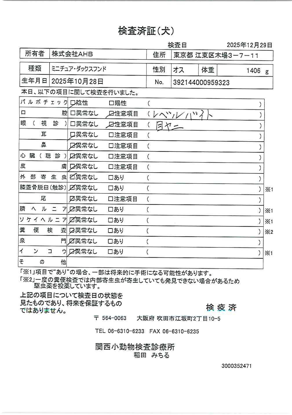 ミニチュア・ダックスフンド