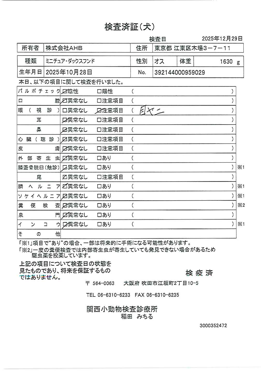 ミニチュア・ダックスフンド