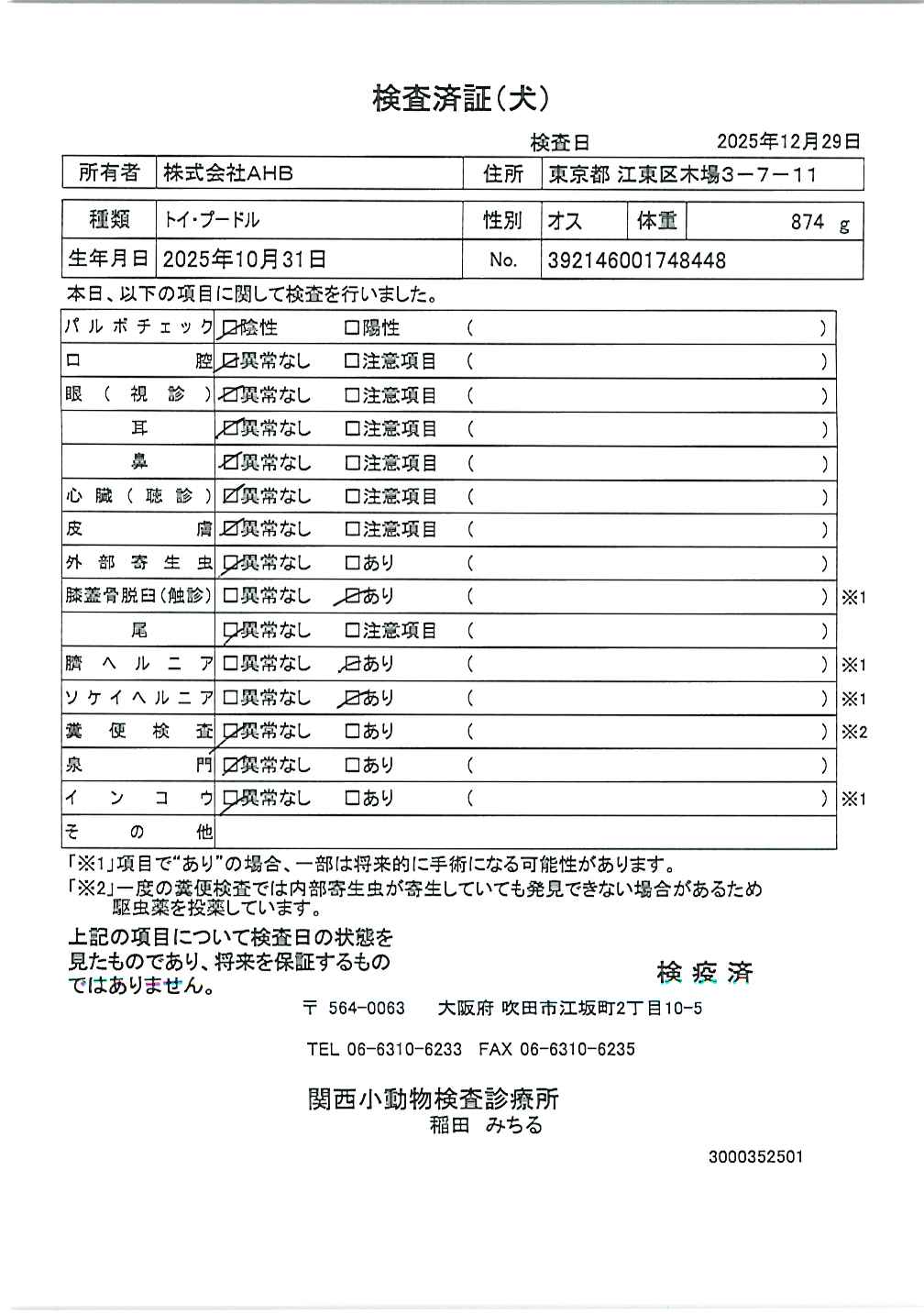 トイ・プードル