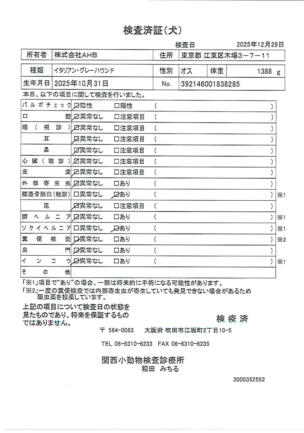 イタリアン・グレーハウンド